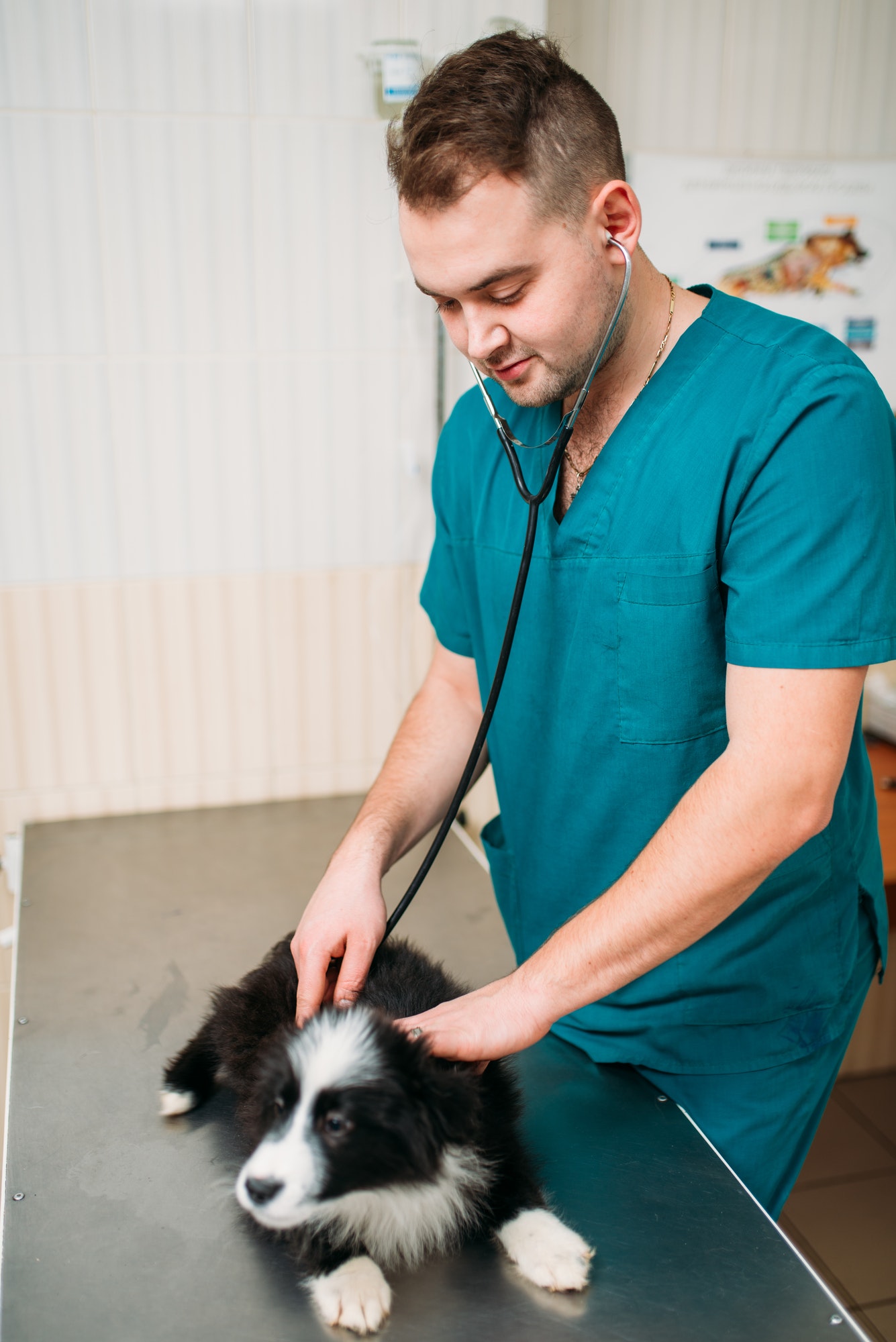 Senior Hospice Care