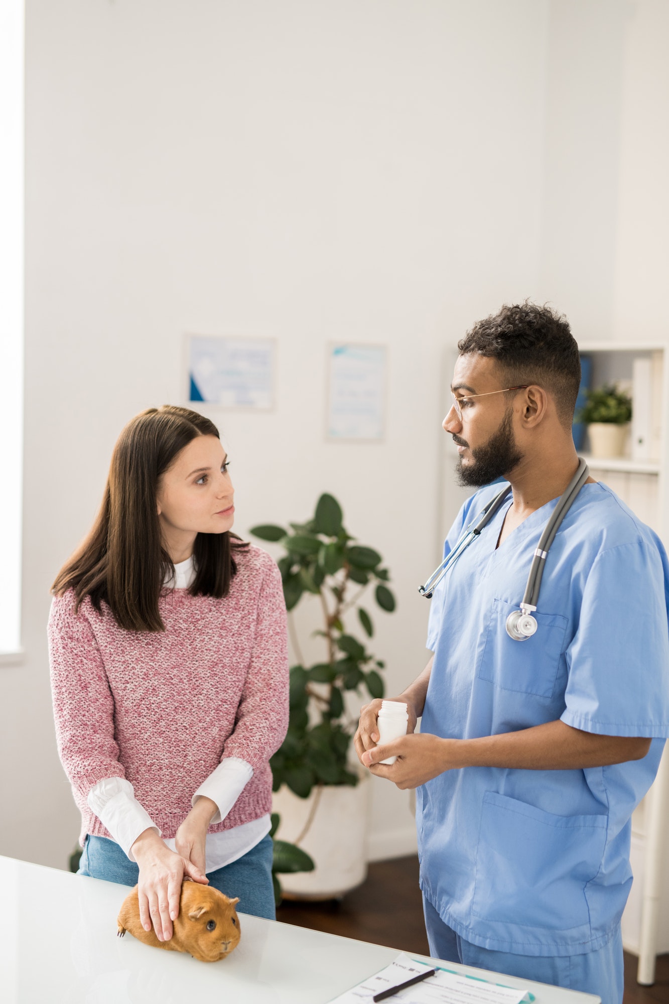 Euthanasia Consultation
